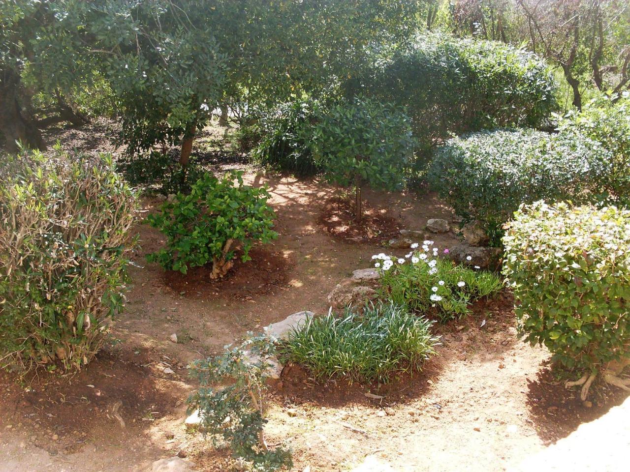 Holiday Home Doroteia By Interhome Carvoeiro  Dış mekan fotoğraf