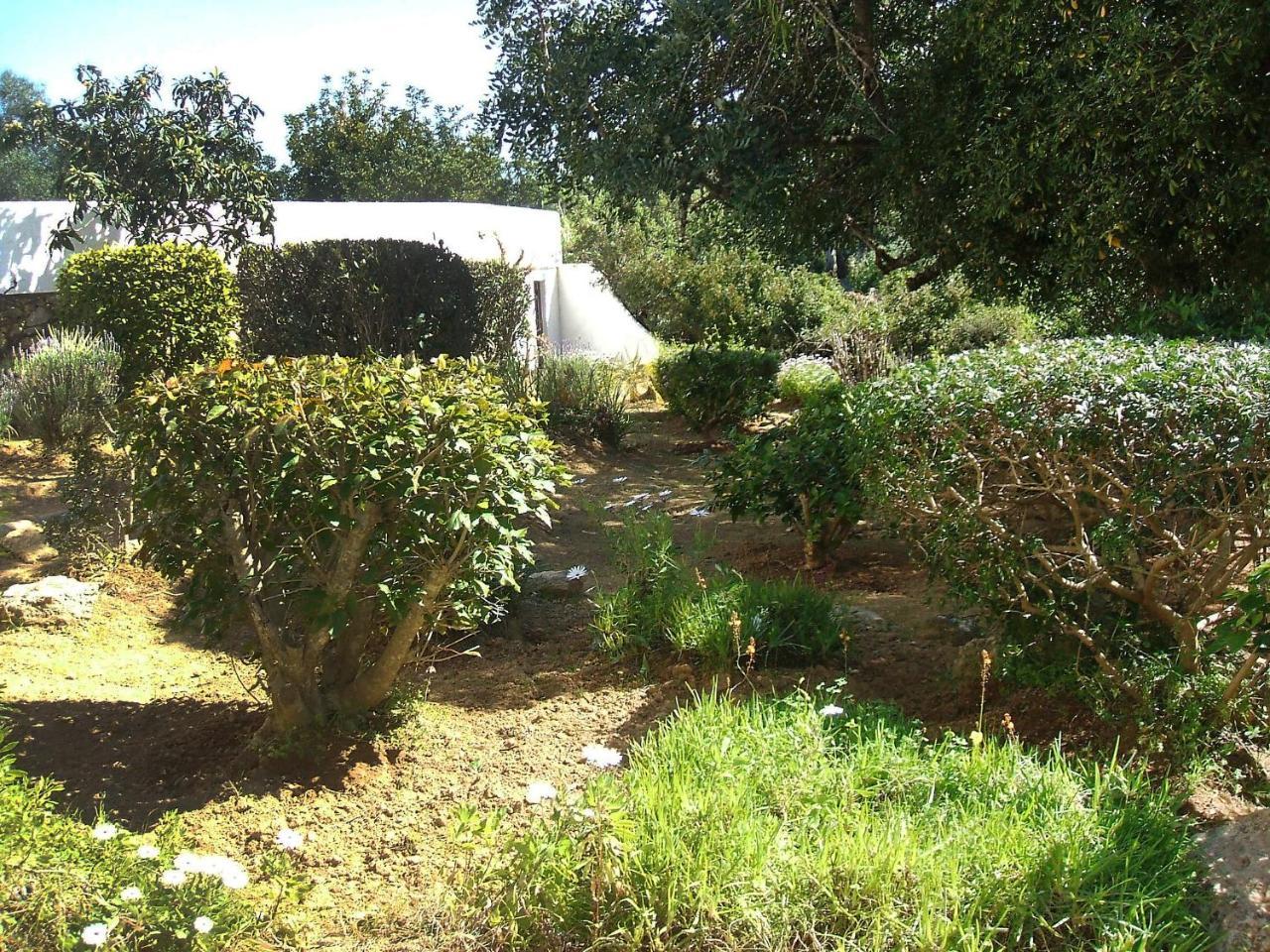 Holiday Home Doroteia By Interhome Carvoeiro  Dış mekan fotoğraf